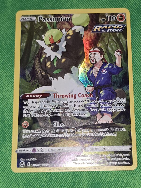 Passimian #TG08 Pokemon Silver Tempest