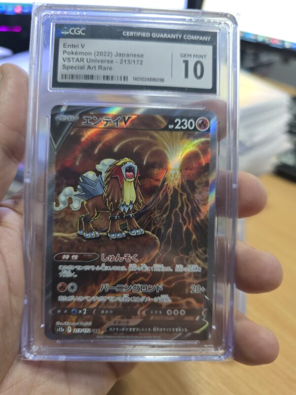 Entei V #213/172 Pokemon Japanese VSTAR Universe
