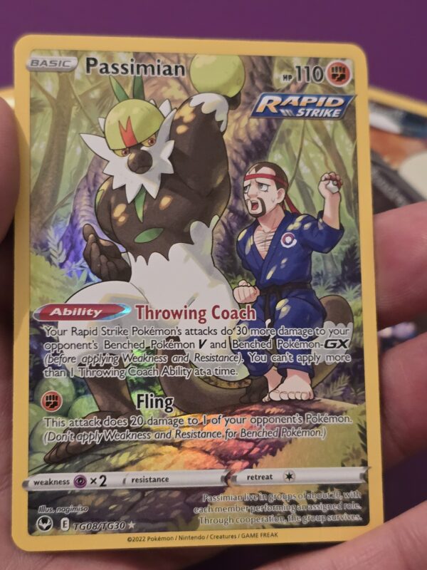 Passimian #TG08 Pokemon Silver Tempest